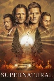 Supernatural poster