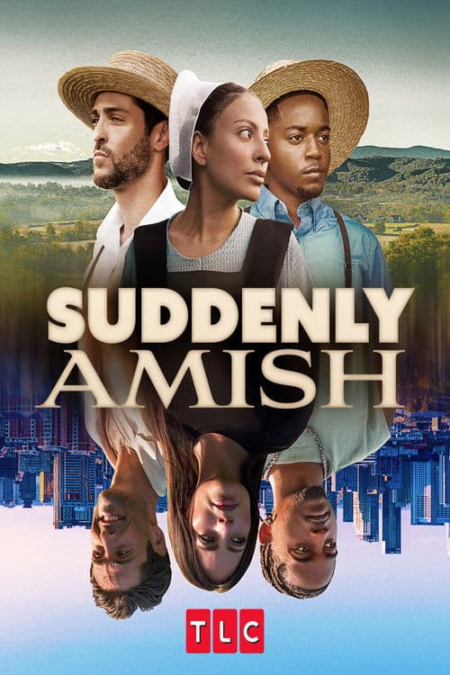 Suddenly Amish poster