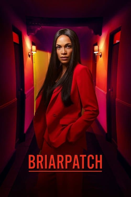Briarpatch poster
