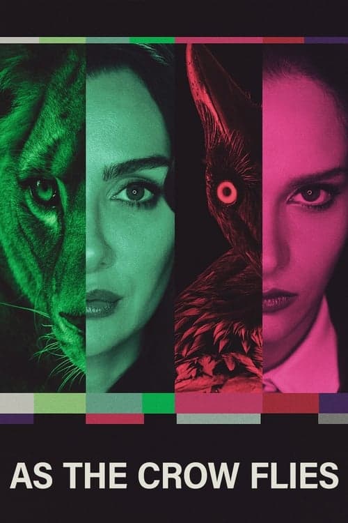 As the Crow Flies poster