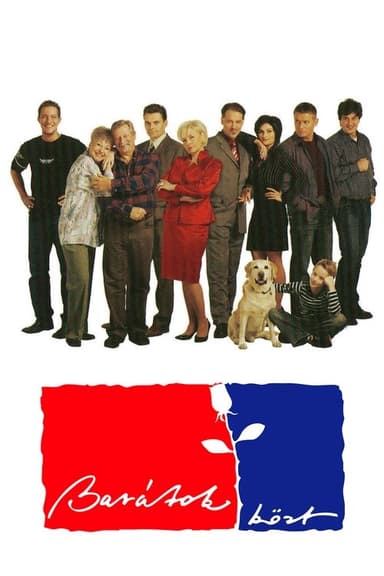 Among Friends poster