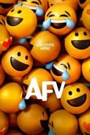 America's Funniest Home Videos poster