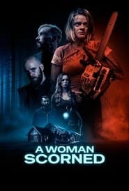 A Woman Scorned poster