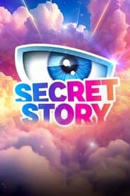 Secret Story poster