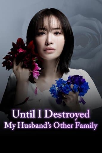 Until I Destroyed My Husband's Other Family poster