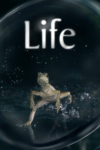 Life poster