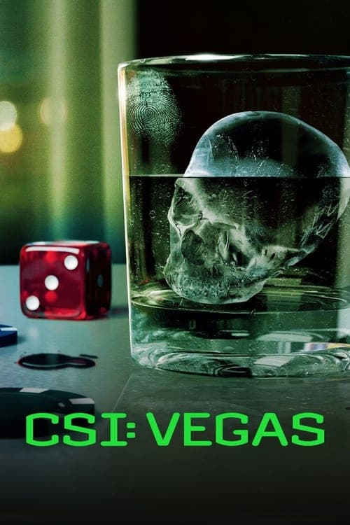 CSI: Vegas poster