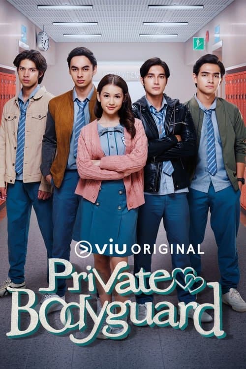 Private Bodyguard poster