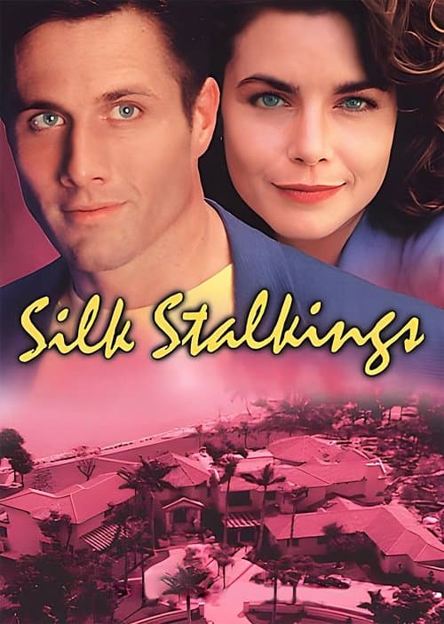 Silk Stalkings poster