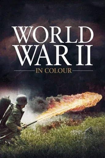 The poster depicts a soldier firing a flamethrower, with a dramatic explosion of orange and yellow flames against a dark, stormy sky. The muted greens of the grass and the sepia tones of the sky evoke a somber, historical atmosphere. The title "World War II in Colour" is prominently displayed in ...