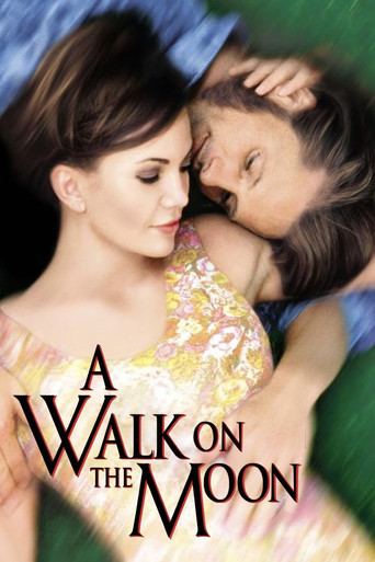 A Walk on the Moon poster
