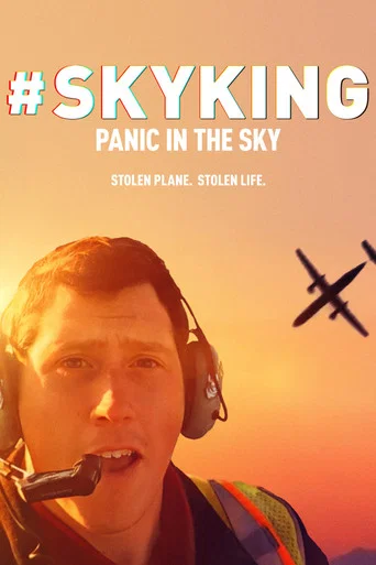 #SKYKING poster