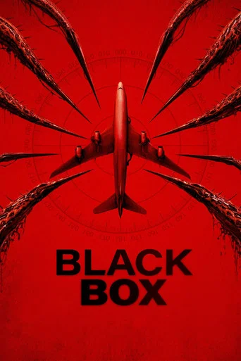 Black Box (Flight 298) poster