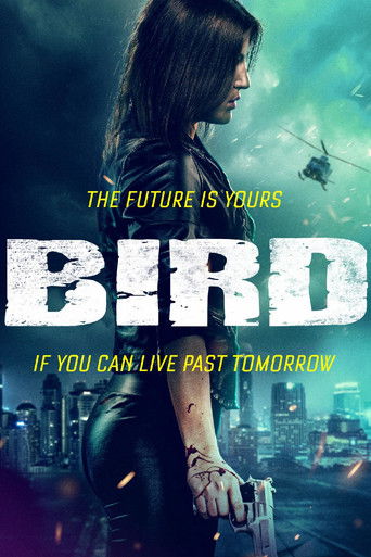 Bird poster