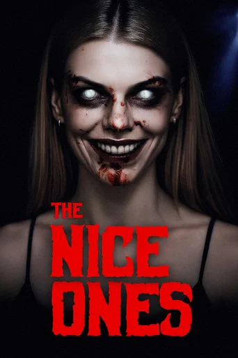 The Nice Ones poster