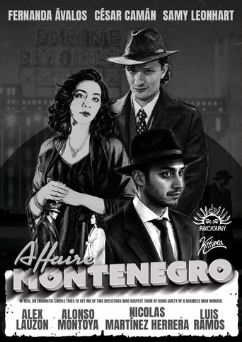The Montenegro Affair poster