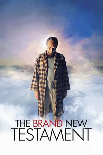 The poster features a man in a plaid coat standing amidst a stormy, misty landscape. The dramatic sky with swirling clouds and hues of blue and orange sets a somber, mysterious tone. The title "The Brand New Testament" is prominently displayed at the bottom, emphasizing the film's intense and dra...