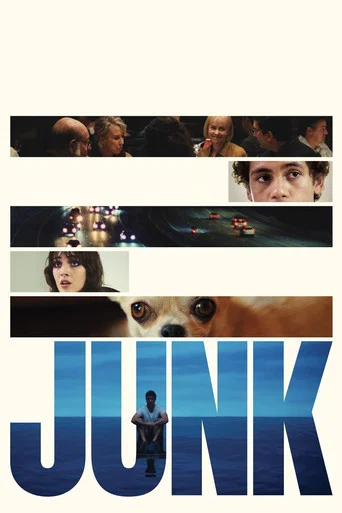 Junk poster
