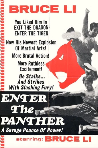 Enter the Panther poster