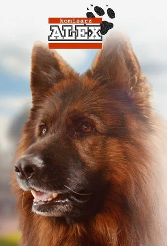 Inspector Alex poster