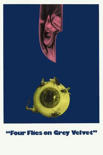 Four Flies on Grey Velvet poster