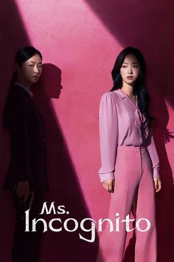Ms. Incognito poster