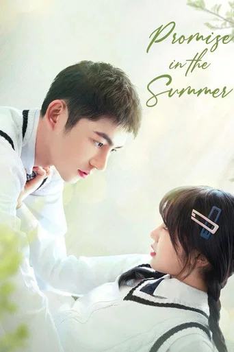 Promise in the Summer poster