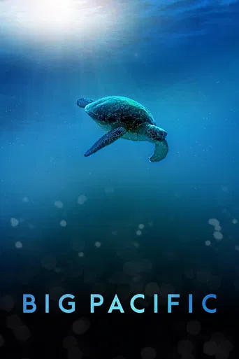 The poster features a serene underwater scene with a turtle swimming gracefully against a deep blue backdrop. Sunlight filters through the surface, creating a dreamy, ethereal mood. The title "BIG PACIFIC" is prominently displayed at the bottom in bold, light blue letters.