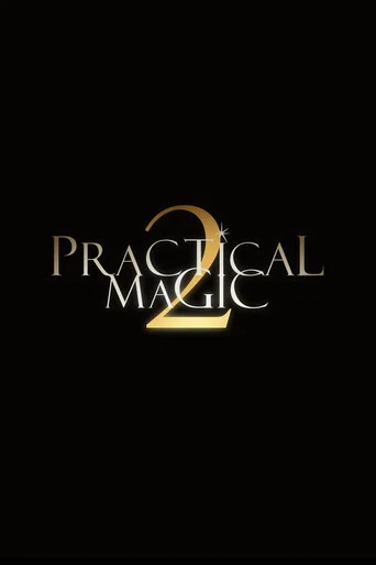 Practical Magic 2 poster