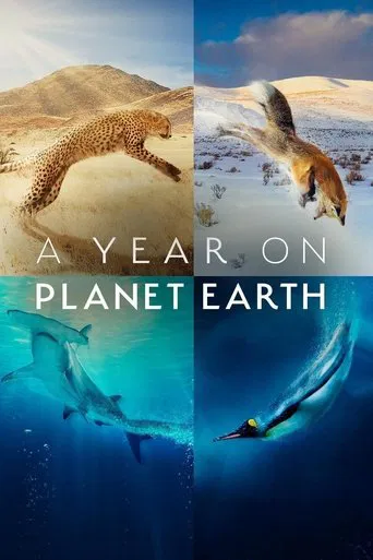 A Year on Planet Earth poster