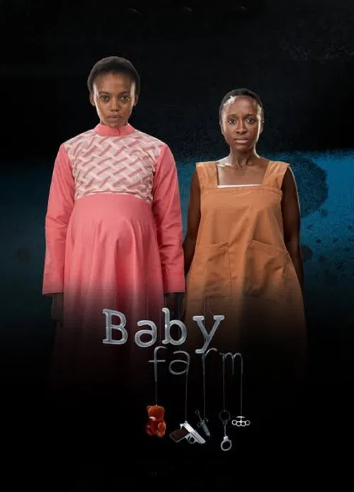 Baby Farm poster