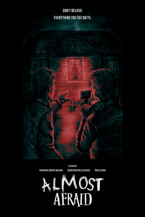 Almost Afraid poster