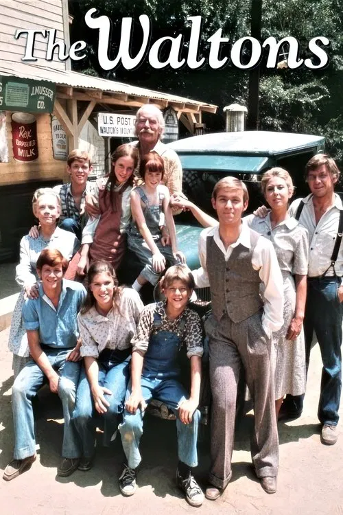 The Waltons poster captures a lively group of seven characters in a cheerful outdoor setting, exuding warmth and nostalgia. The vibrant colors of their clothing and the sunny backdrop create a joyful atmosphere, reflecting the show's classic charm and timeless appeal.