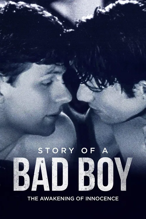 Story of a Bad Boy poster