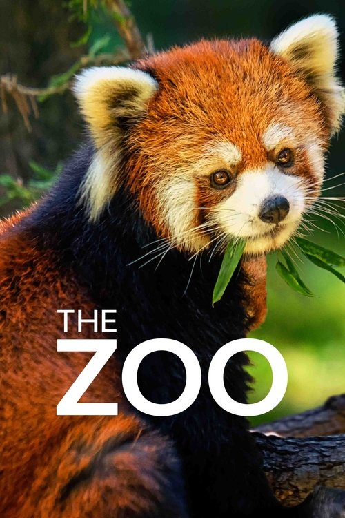 A red panda with striking orange fur and white markings holds a leaf, exuding a serene and natural mood. The poster features bold white text against a lush green background, emphasizing the zoo's vibrant and inviting atmosphere.