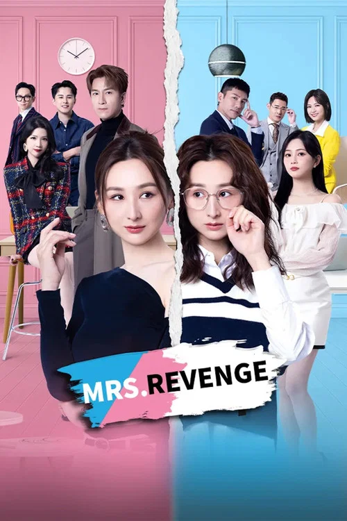 夫妻的博弈 poster