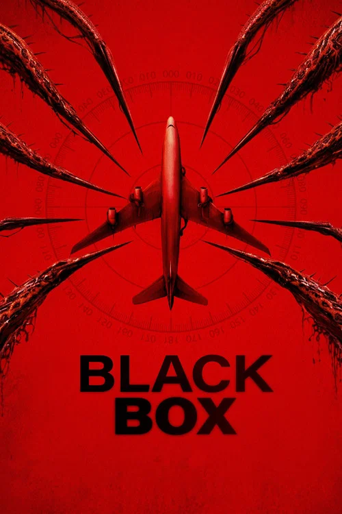 Black Box (Flight 298) poster