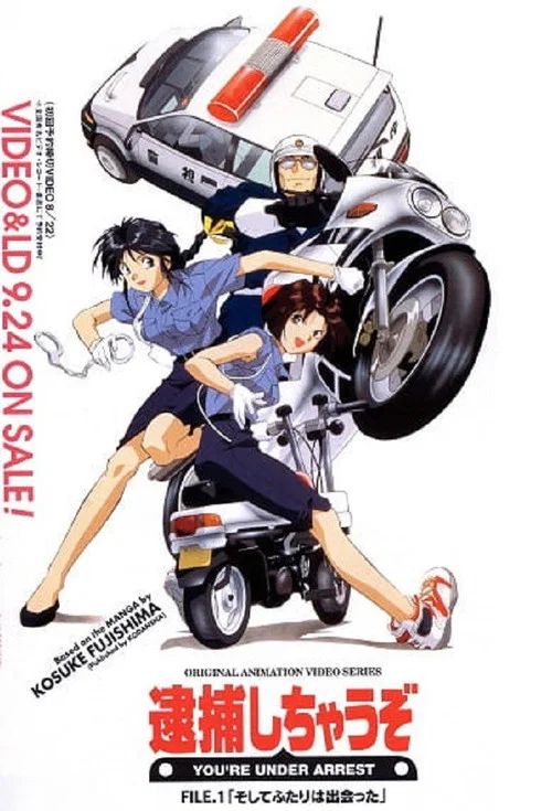 You're Under Arrest poster