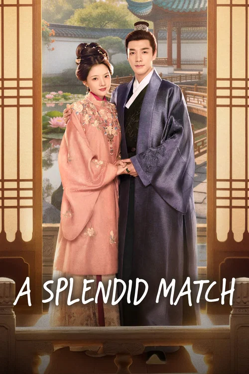 A Splendid Match poster