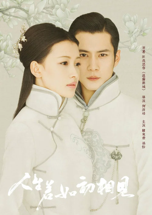 Siege in Fog poster