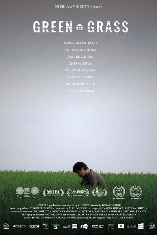 Green Grass poster
