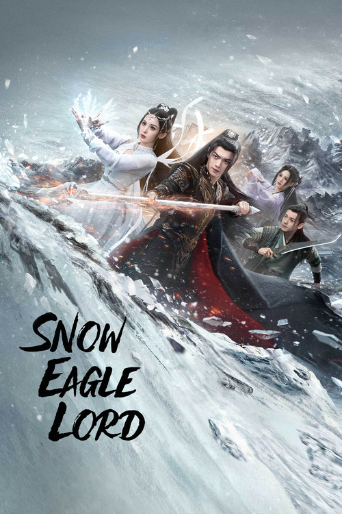 The poster features four characters in dynamic poses against a dramatic, icy backdrop. The characters are dressed in traditional Chinese attire, with one character wielding a glowing red sword. The snowy, wintry scene conveys a sense of action and adventure, while the bold title text adds a mysti...