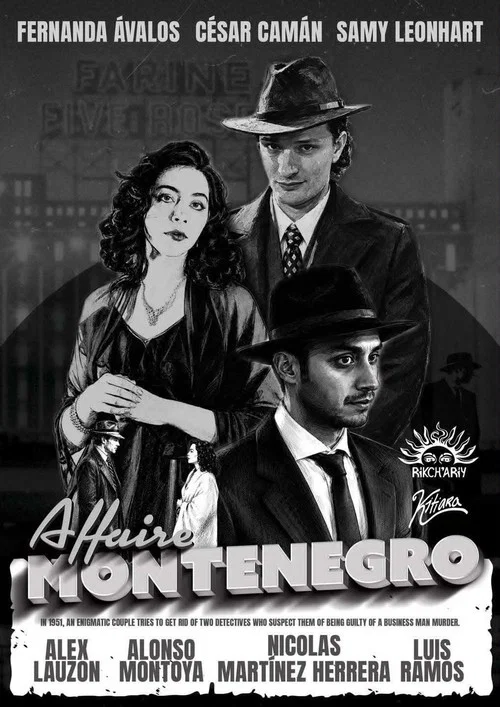 The Montenegro Affair poster