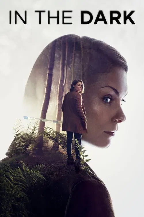 In the Dark poster