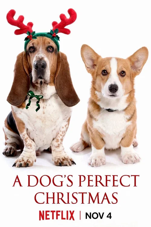 A Dog's Perfect Christmas poster