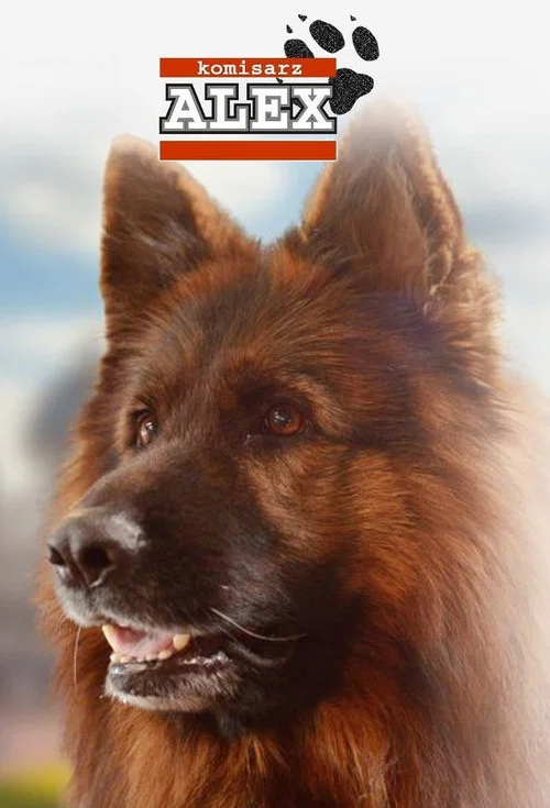 Inspector Alex poster