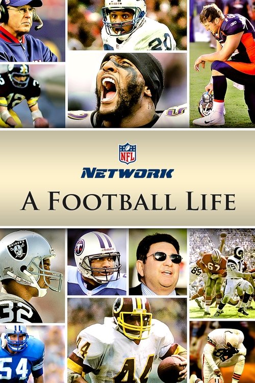This TV show poster celebrates NFL players' diverse careers through a collage of vibrant, action-packed images. The warm, golden lighting and dynamic poses convey an energetic, nostalgic mood. Players in purple, blue, and gold uniforms stand out against the neutral background, emphasizing the sho...