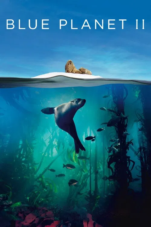The poster features a serene underwater scene with a seal swimming gracefully among vibrant coral reefs. Above, the surface shows a peaceful beach with a dog and a cat, symbolizing harmony between humans and nature. The deep blue hues evoke a sense of calm and wonder, capturing the essence of the...