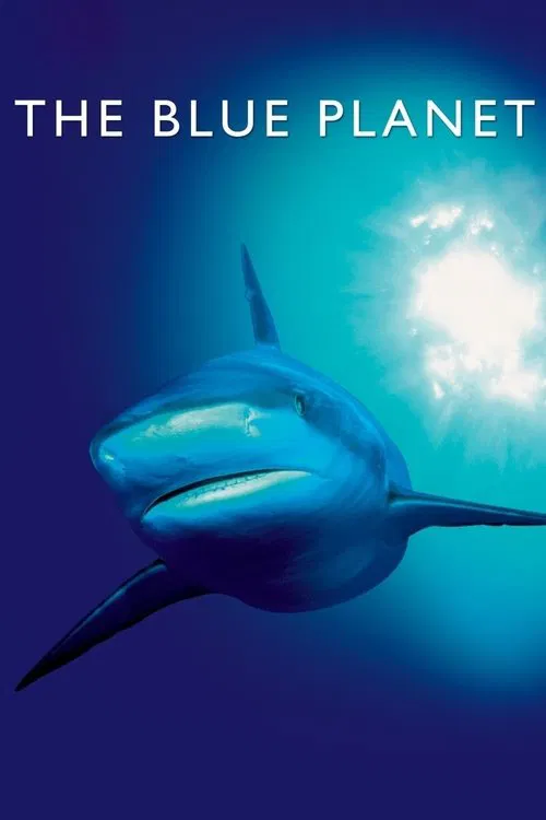 The poster features a majestic blue whale swimming in deep blue waters, with a radiant sunburst illuminating its back. The serene, almost ethereal mood evokes wonder and the vastness of the ocean.
