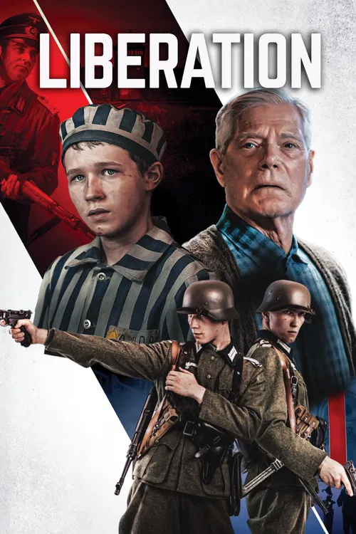 The Optimist poster